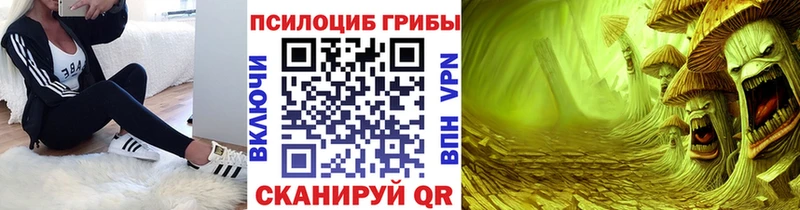 Галлюциногенные грибы мицелий  Купить где  Артёмовск 